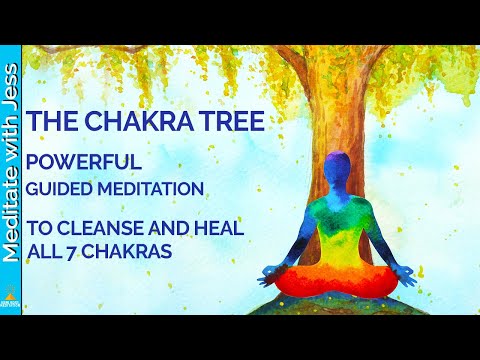 Chakra Healing & Balancing Guided Meditation | Powerful And Divine Healing | 528Hz Binaural Beats