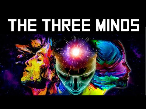 The Power of Your Subconscious Mind, Conscious Mind & Superconscious Mind | Law of Attraction