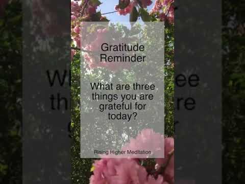 Daily Gratitude | What are three things you are grateful for today? | Gratitude | Shorts