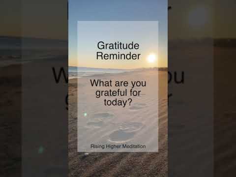 Gratitude Reminder | What are you grateful for today? | Gratitude | Shorts | Thankful