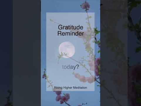 Gratitude Reminder | What are three things you are grateful for today? | Gratitude | Shorts