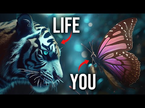 A Song About STRUGGLE and MENTAL STRENGTH You Must Hear Before It's Too Late (Butterly Lyric Video)